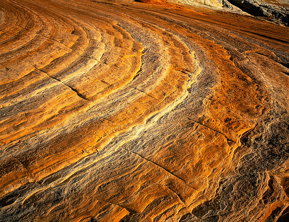 Concentric patterns
