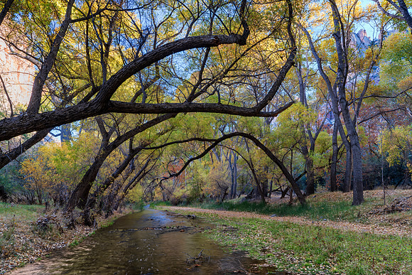 Aravaipa Canyon