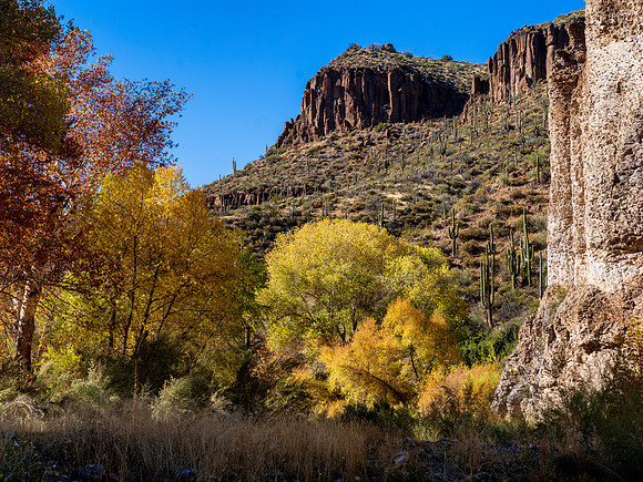 Aravaipa Canyon