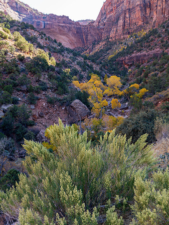 Up to Zion Plateau