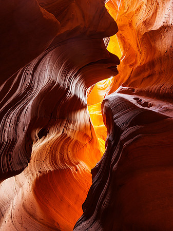 Canyon X