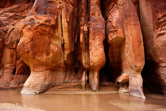 Paria Canyon
