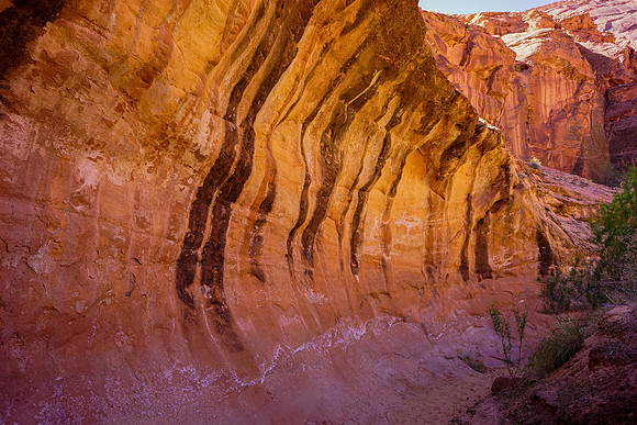 Paria Canyon
