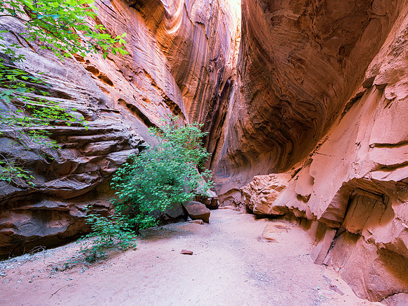 Long Canyon Slot