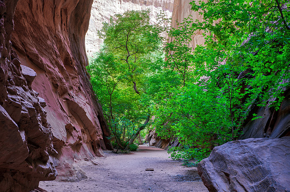Long Canyon Slot