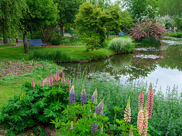 Van Beek Garden