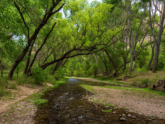 Aravaipa Canyon