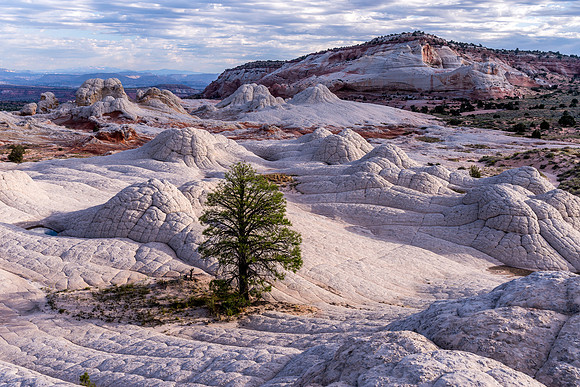 Upper White Pocket Pano