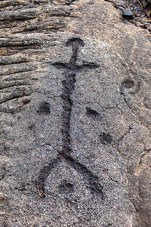 Pu’u Loa Petroglyphs