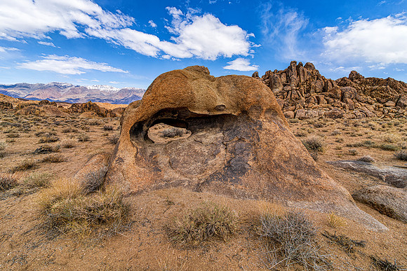 Eagle Eye Arch