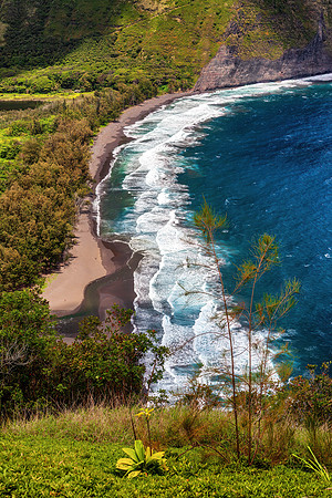 Waipi'o