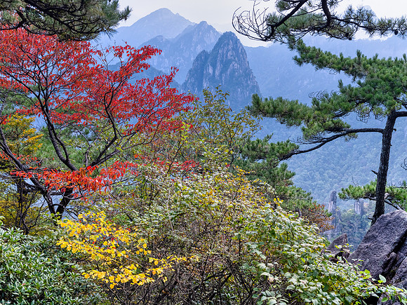 Huangshan Mountains