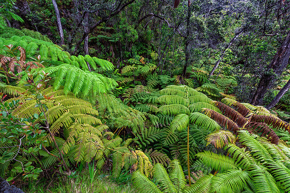 Hawaii Volcanoes NP