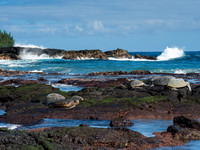 Shipman Beach