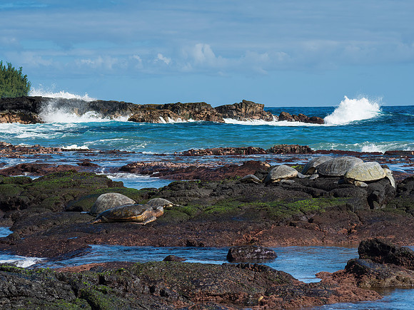 Shipman Beach