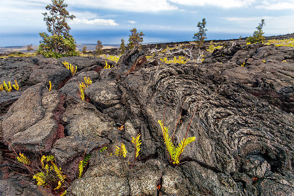 Chain of Craters Road