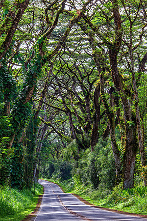 Pahoa