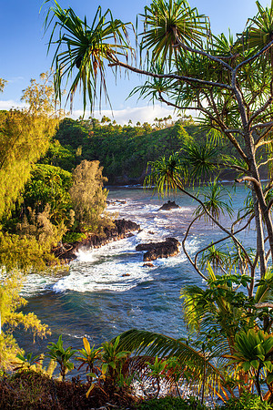 Onomea Bay