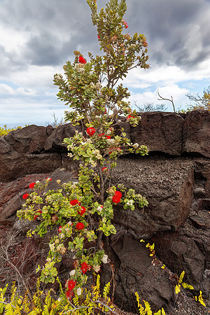 Chain of Craters Road