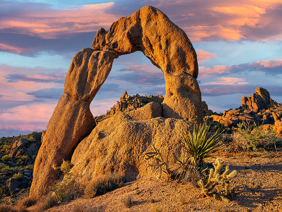 Scorpion Arch