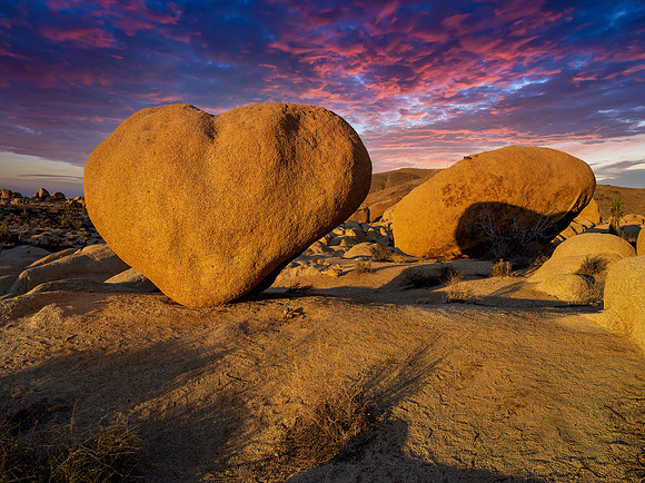 The Heart