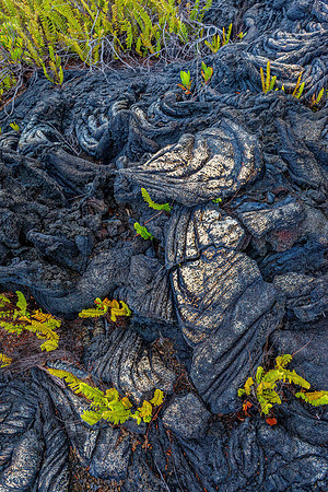 Hawaii Volcanoes NP