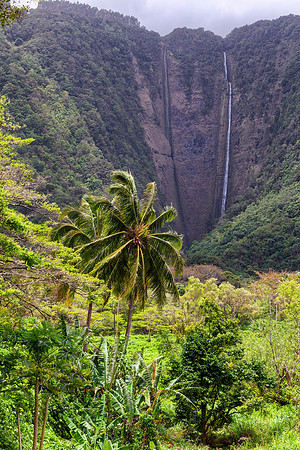 Waipi'o