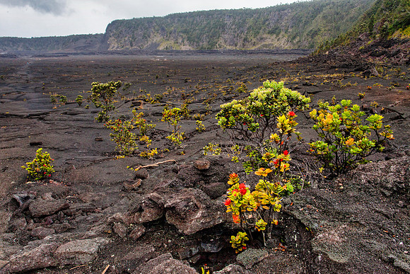 Kilauea Iki Crater
