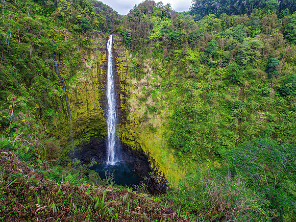Akaka Falls