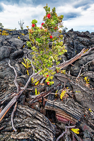 Chain of Craters Road