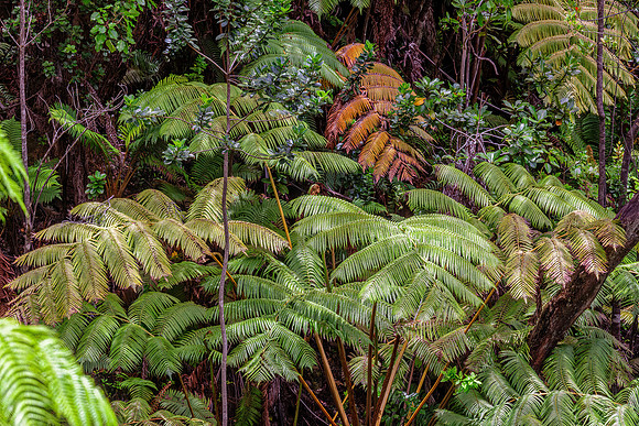 Hawaii Volcanoes NP